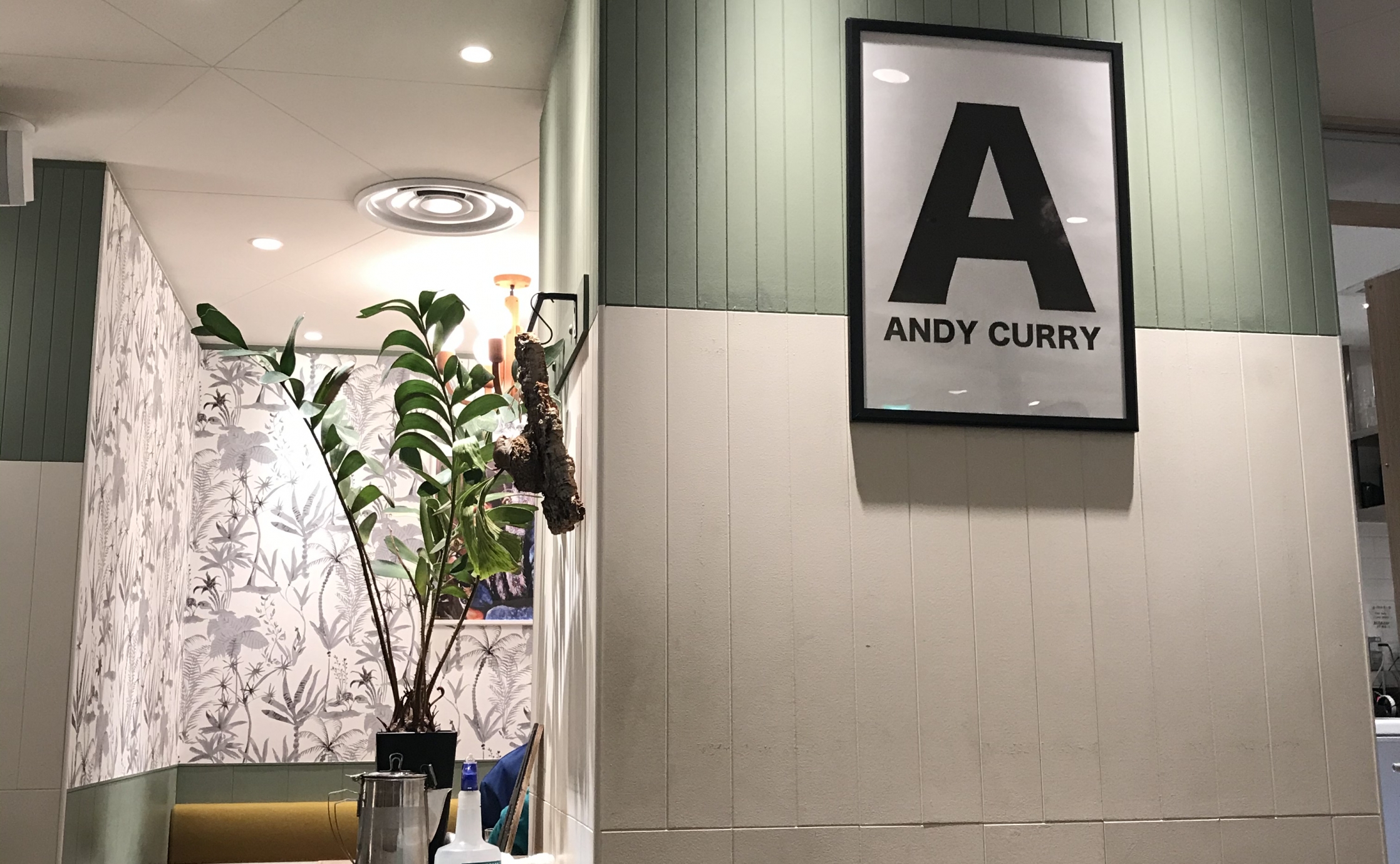 ANDY CURRY