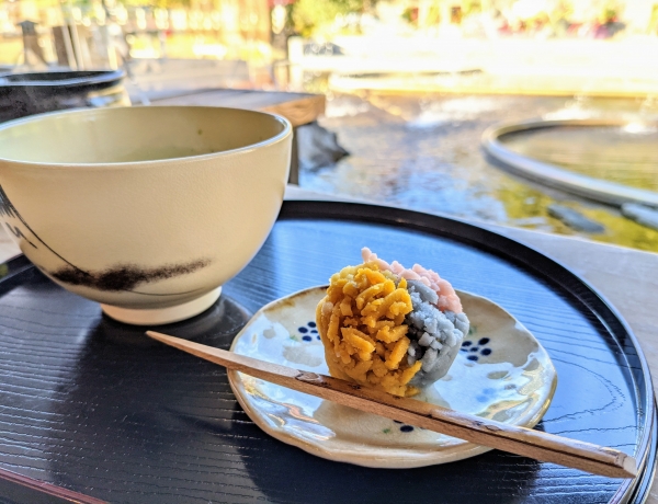 白鳥庭園の茶寮汐入で和菓子とお抹茶