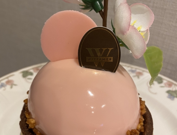 春限定！ヴィタメールの桜のケーキ！