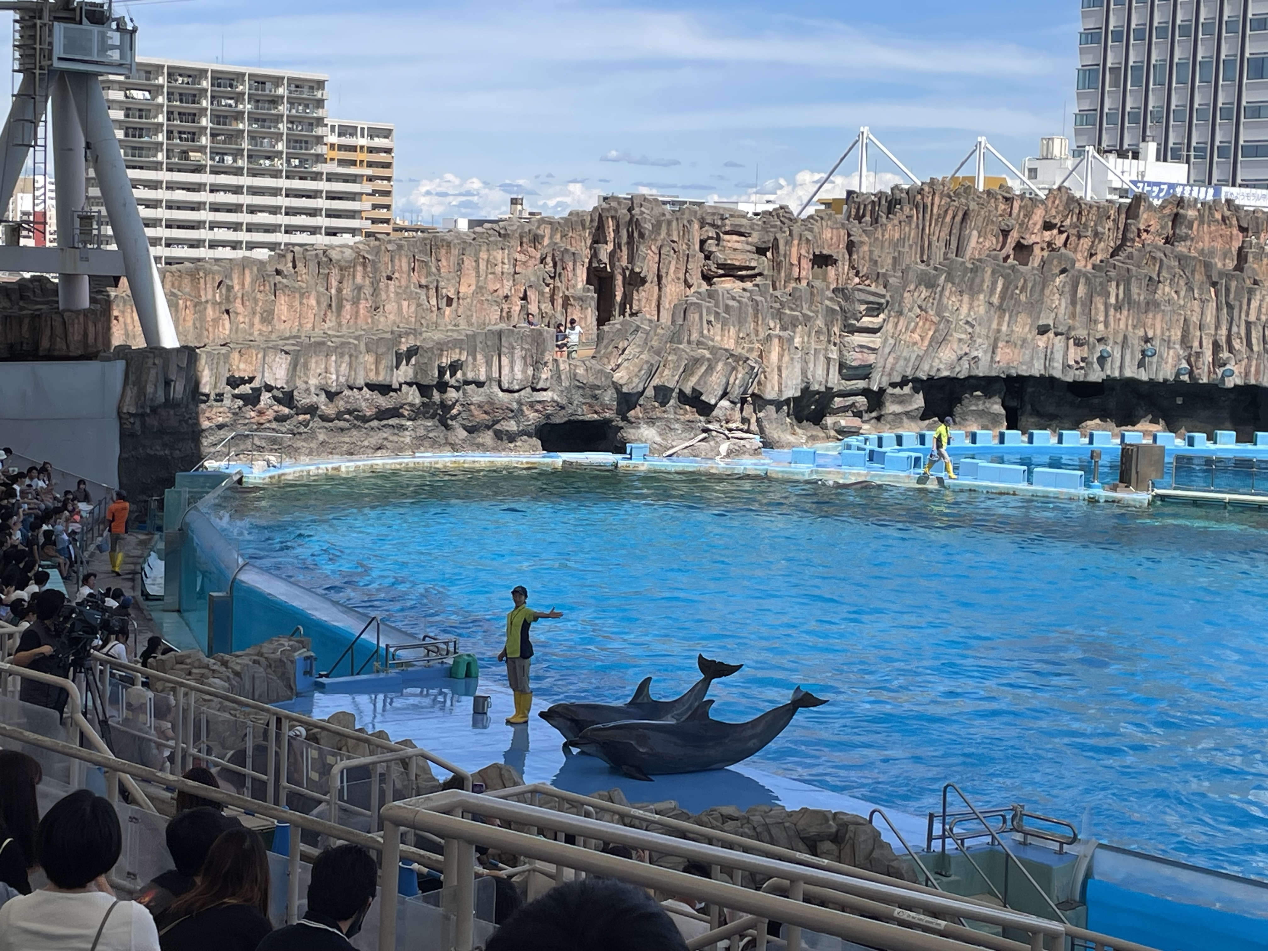 名古屋港水族館　イルカのショーとペンギンよちよち歩き